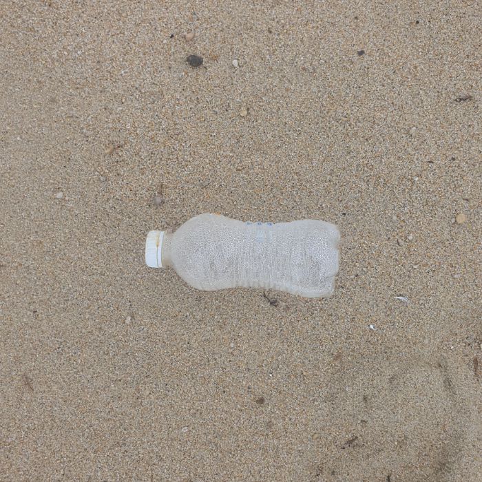 켄싱턴해변 정화 사진 16