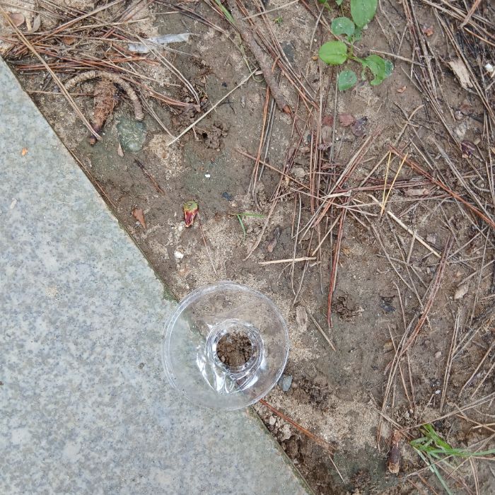 송림해변 정화 사진