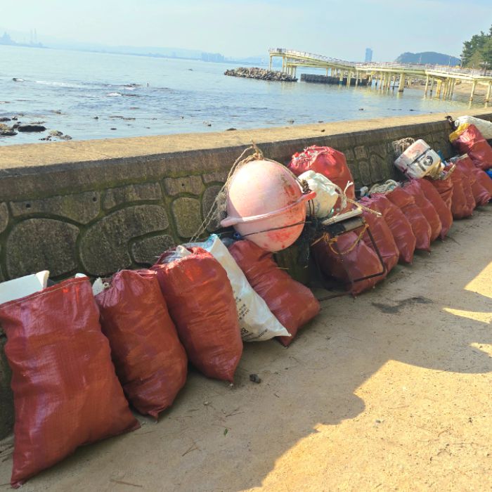 여남항 해변 정화 사진