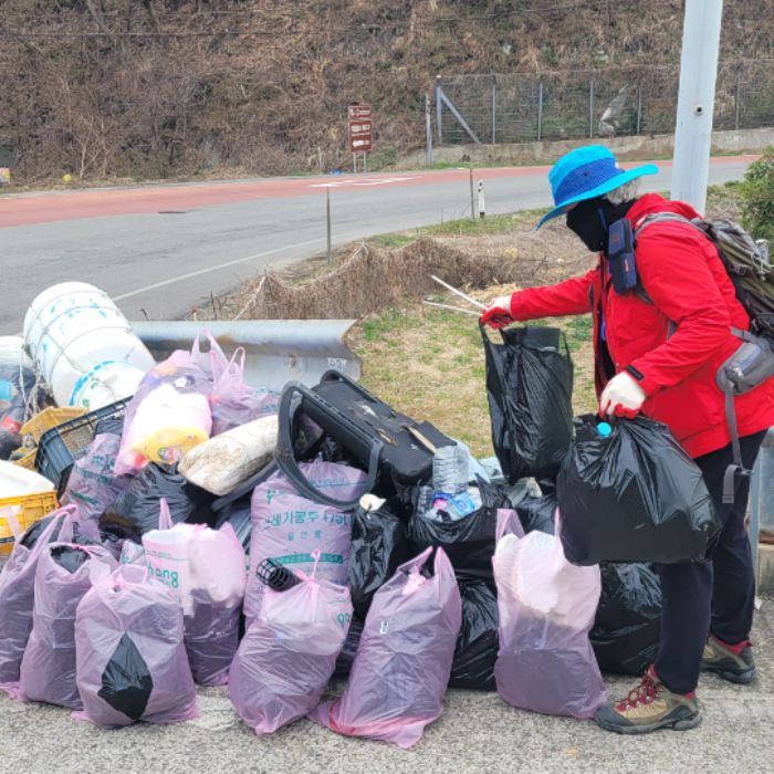  정화 사진