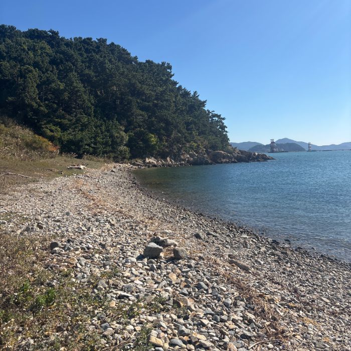 우도해변 정화 사진