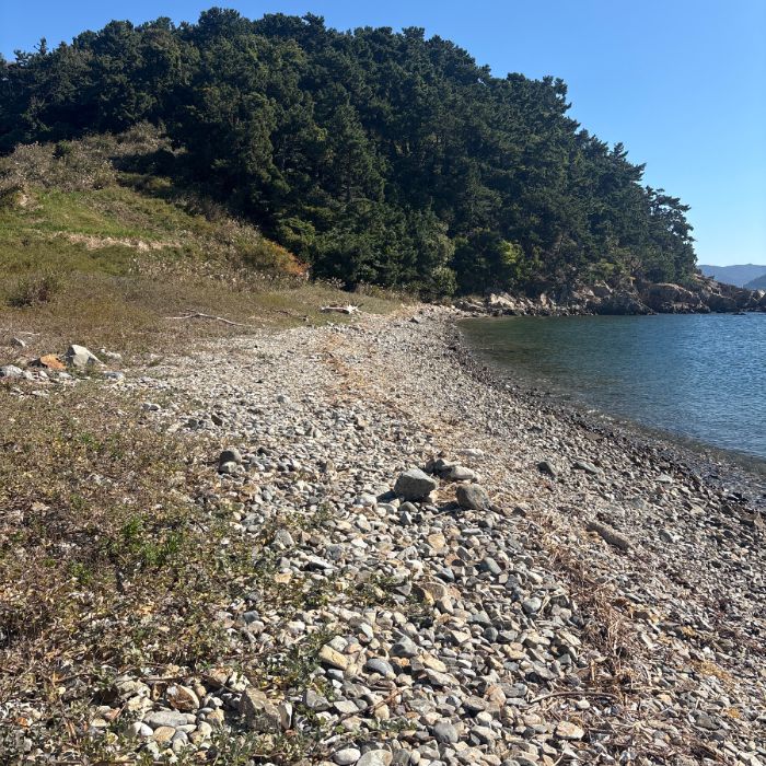 우도해변 정화 사진