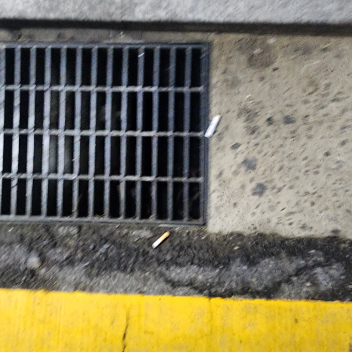  서울강남구.동네.쓰레기.플로깅