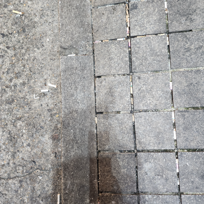  서울강남구.동네.쓰레기.플로깅