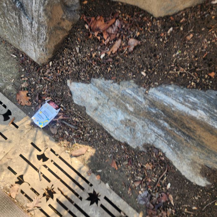  서울송파구.동네.쓰레기.플로깅