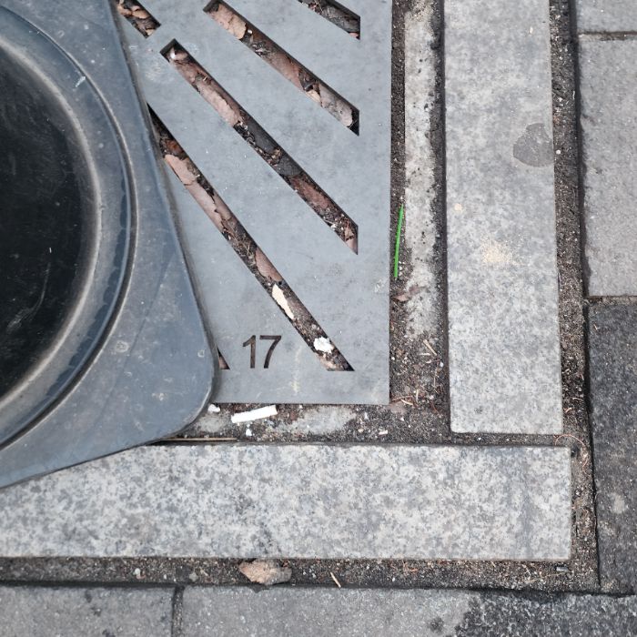  서울강남구.동네.쓰레기.플로깅