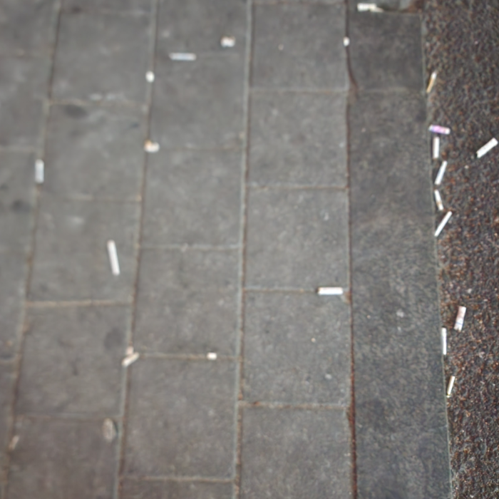  서울강남구.동네.쓰레기.플로깅