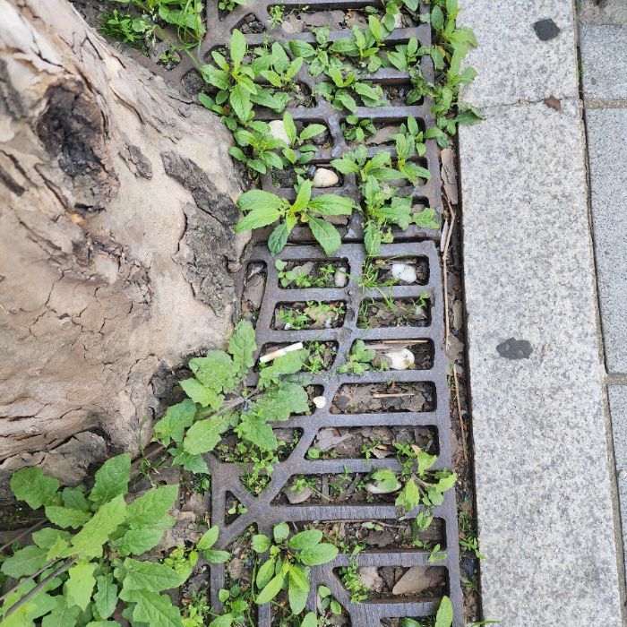 신한벤처투자자봉단 사진 15