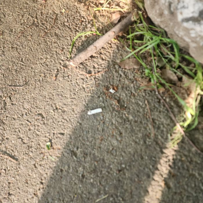 신한벤처투자자봉단 사진 3
