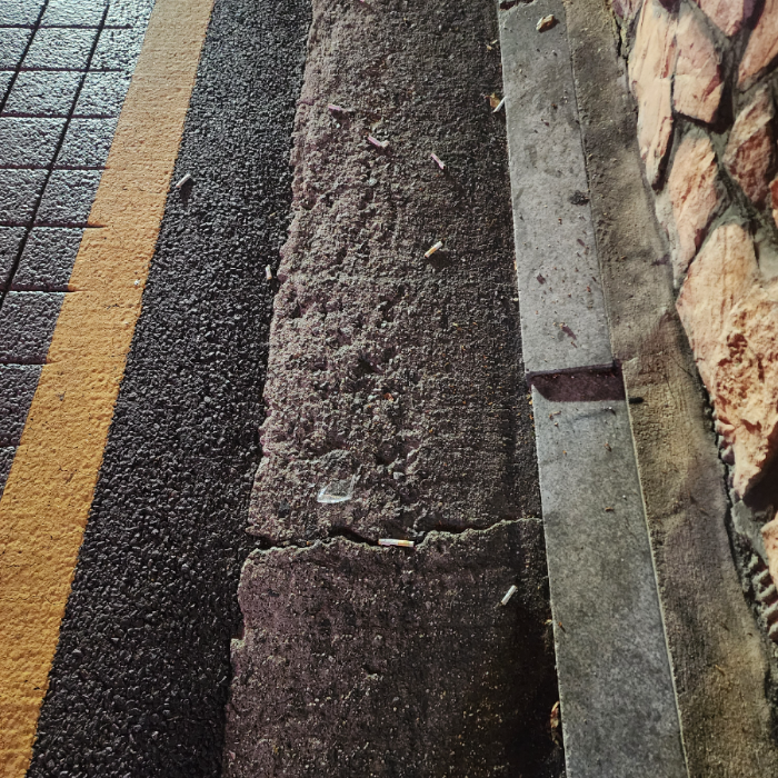  서울강남구.동네.쓰레기.플로깅