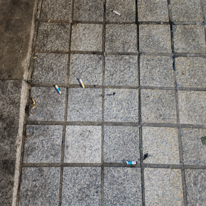  서울강남구.동네.쓰레기.플로깅