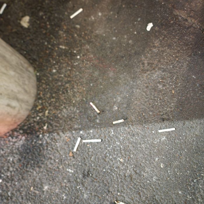  서울강남구.동네.쓰레기.플로깅