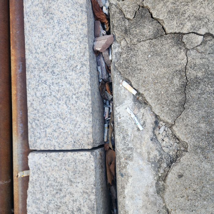  서울강남구.동네.쓰레기.플로깅