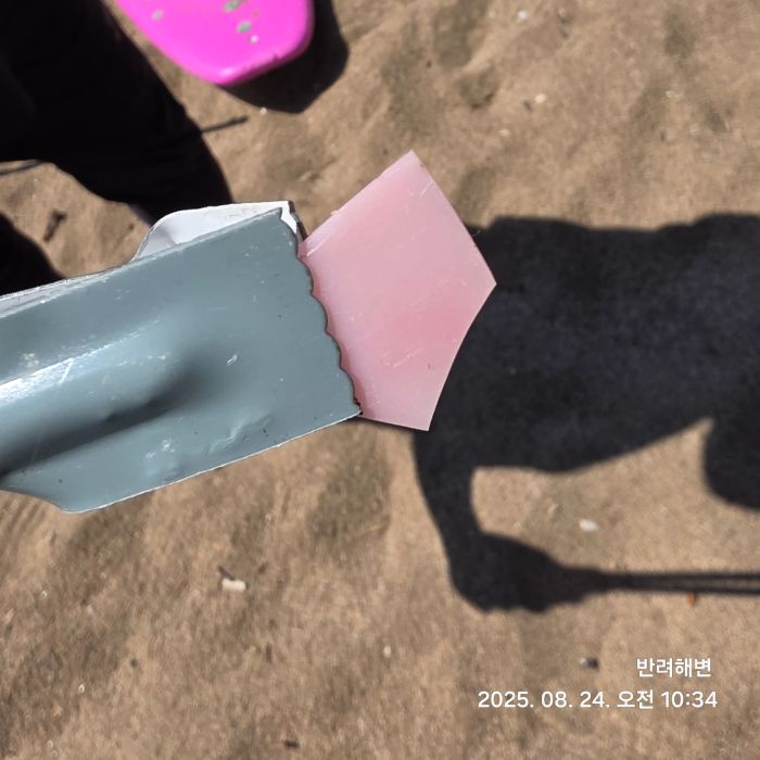 중문색달해수욕장 정화 사진 5