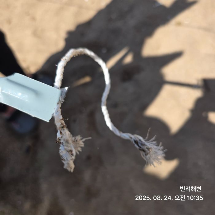 중문색달해수욕장 정화 사진 7