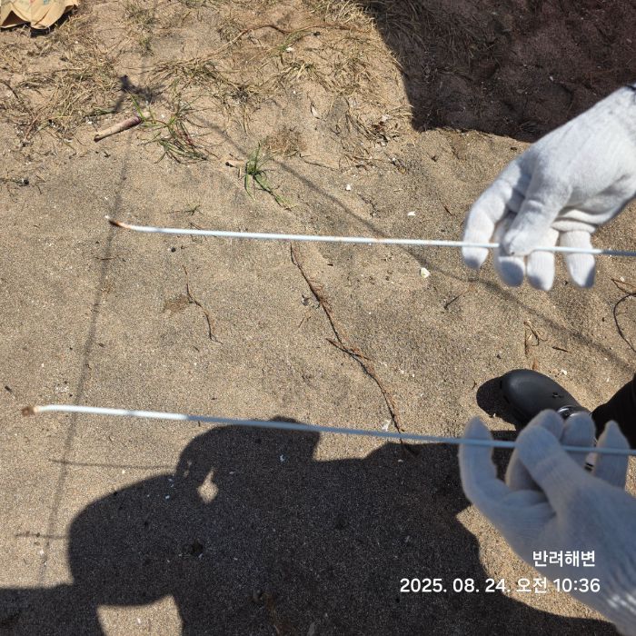 중문색달해수욕장 정화 사진 9