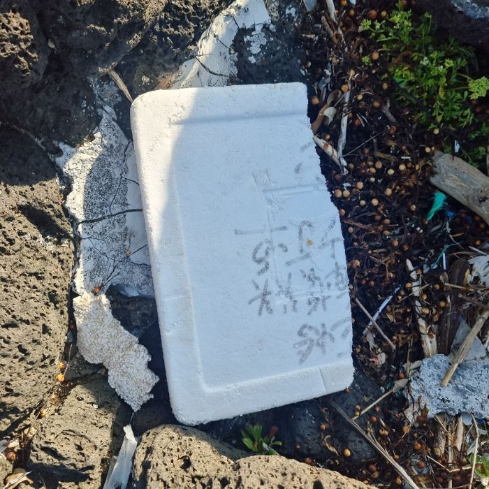 표선해수욕장 정화 사진 14