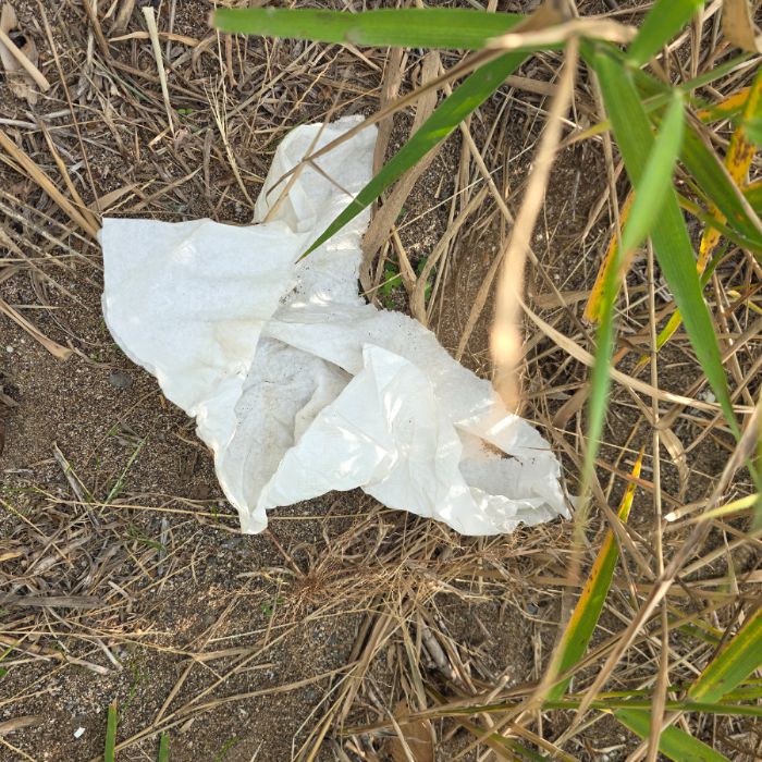 화순금모래해수욕장 정화 사진 11