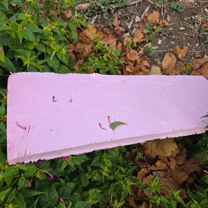 화순금모래해수욕장 정화 사진 20