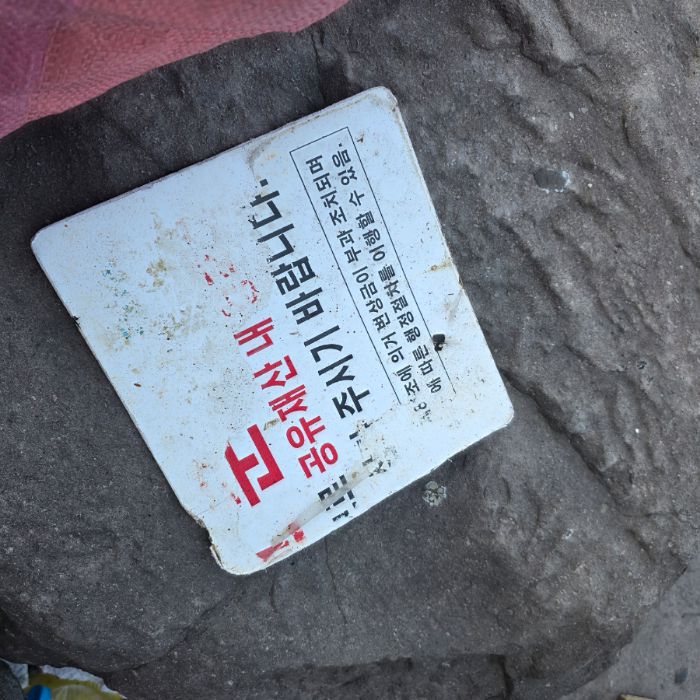  정화 사진 29
