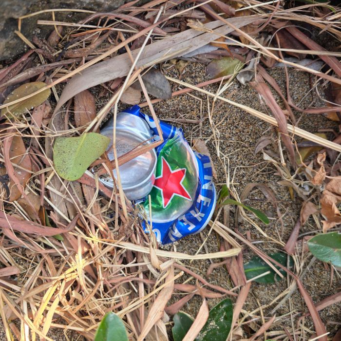 사계해변 정화 사진 2