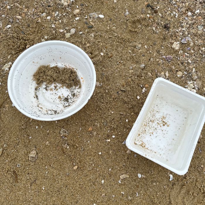  보령시.동네.쓰레기.플로깅