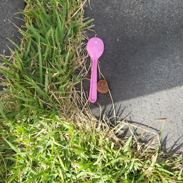 관곶해안길 정화 사진 2