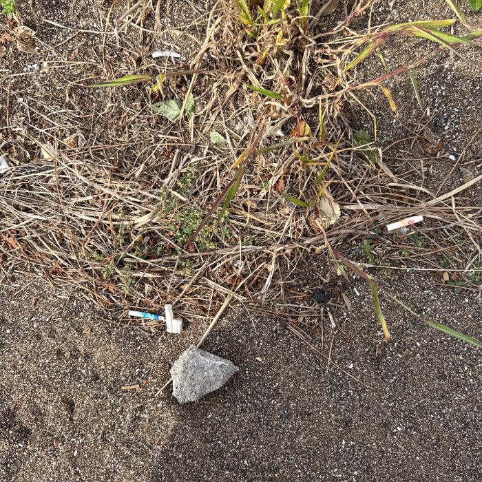 화순금모래해수욕장 정화 사진 2