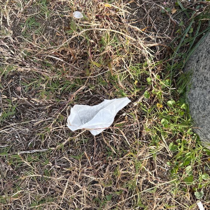 화순금모래해수욕장 정화 사진 3