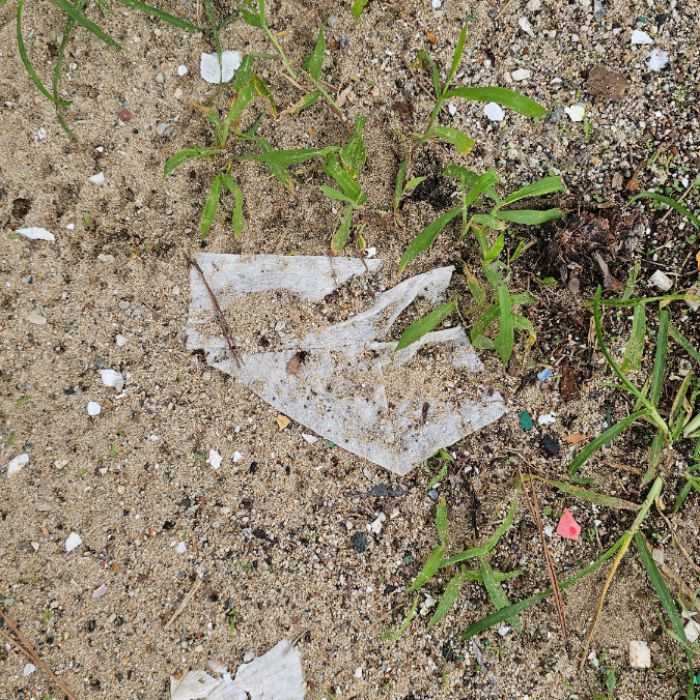 마시안해변 정화 사진 9