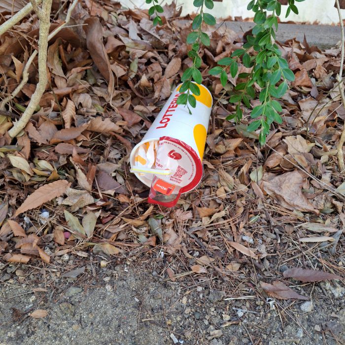  구미시.동네.쓰레기.플로깅