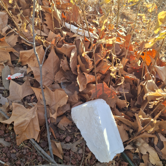  구미시.동네.쓰레기.플로깅