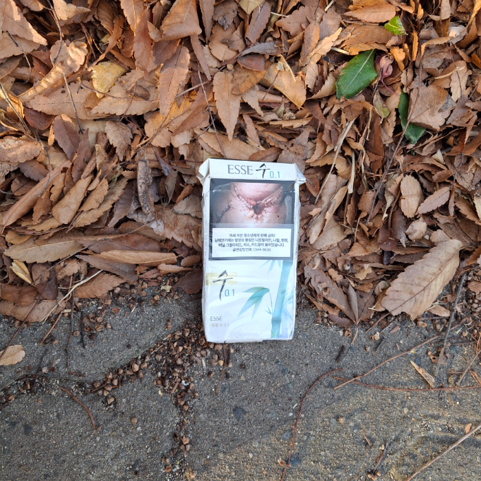  구미시.동네.쓰레기.플로깅