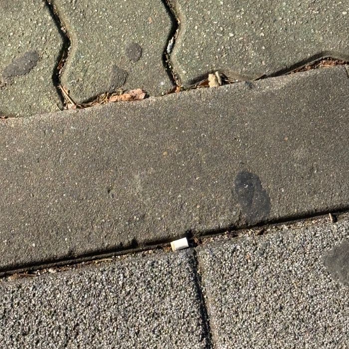  성남시.동네.쓰레기.플로깅