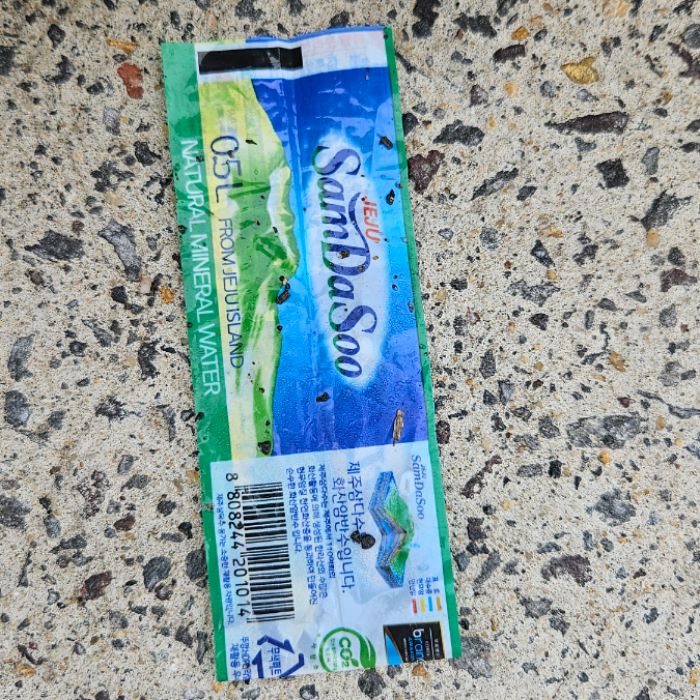  정화 사진 9