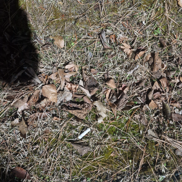  창원시.동네.쓰레기.플로깅