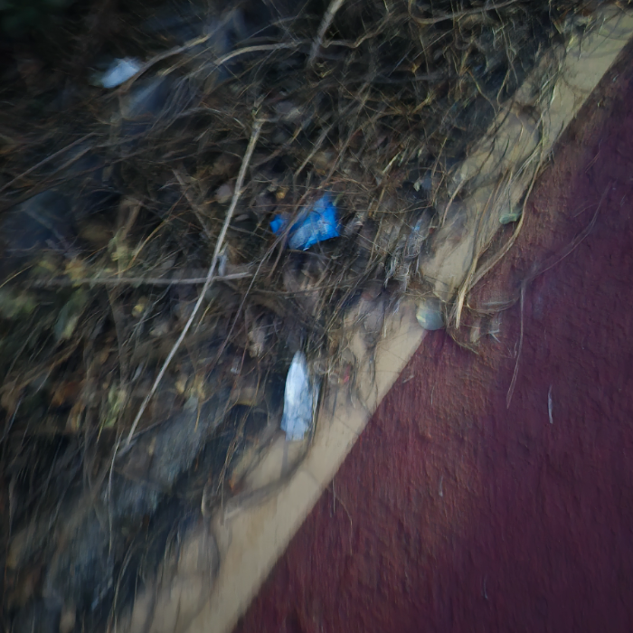  구미시.동네.쓰레기.플로깅