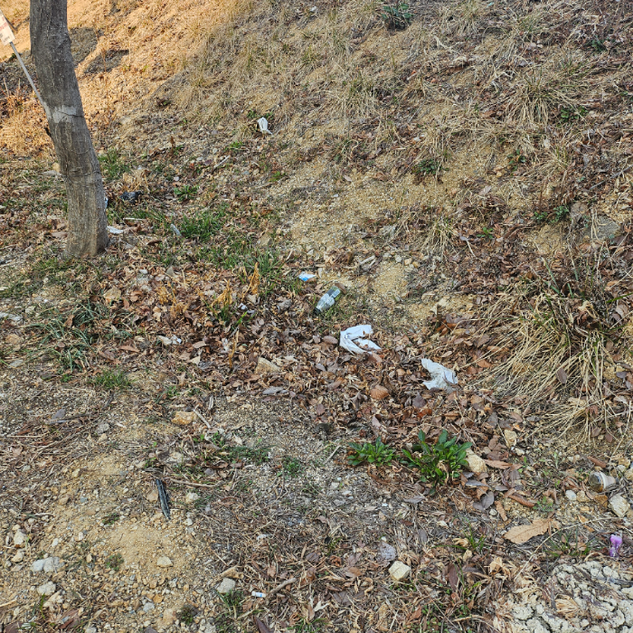  구미시.동네.쓰레기.플로깅