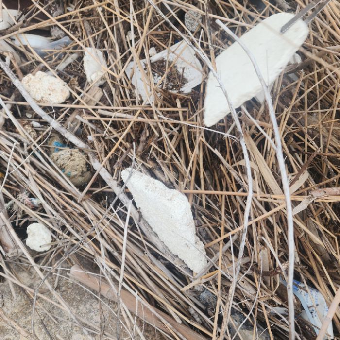목도주변 해변 정화 사진 3