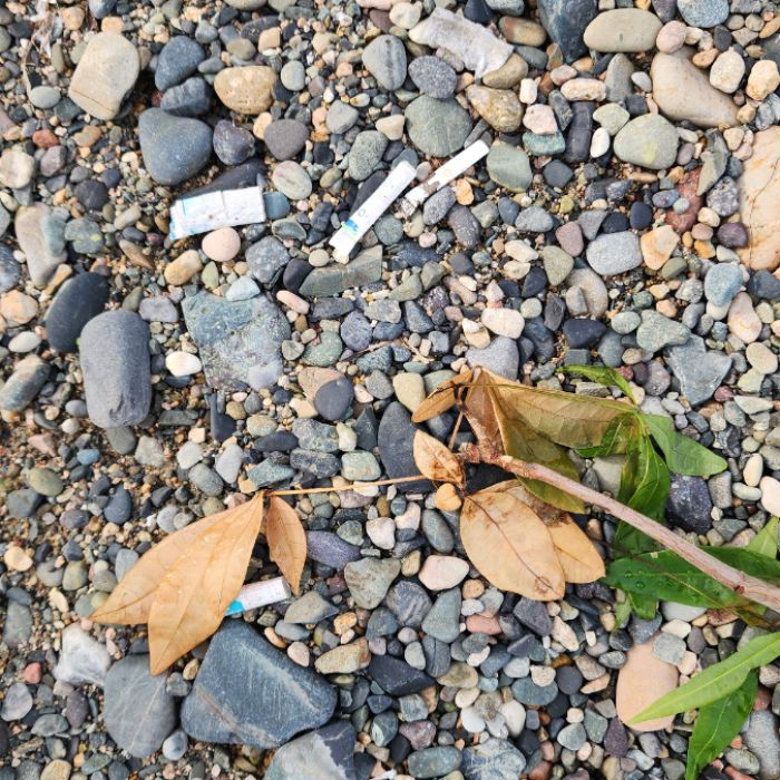 신명해변 정화 사진 7