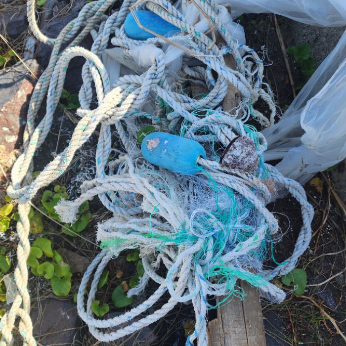 큰불항해변 정화 사진 7