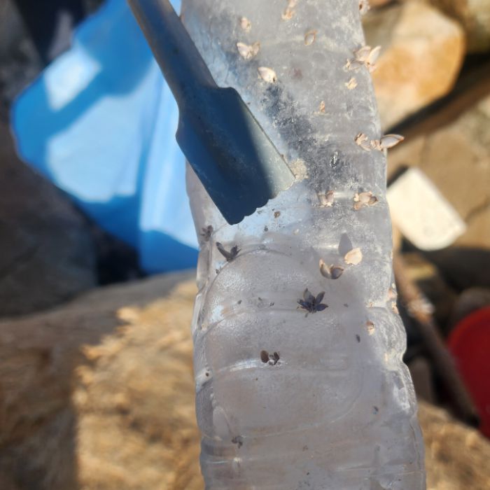 주전보밑 연안 해양체험공원 정화 사진 6