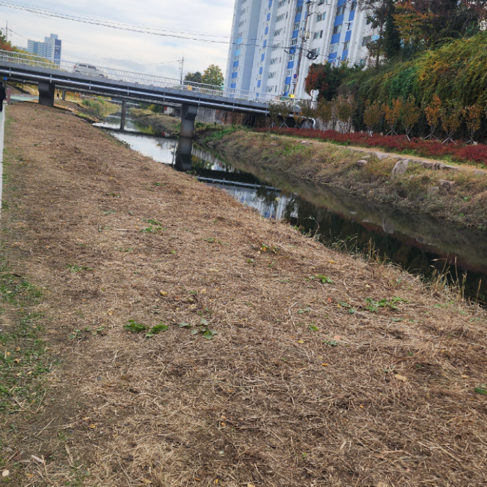  울산남구.동네.쓰레기.플로깅