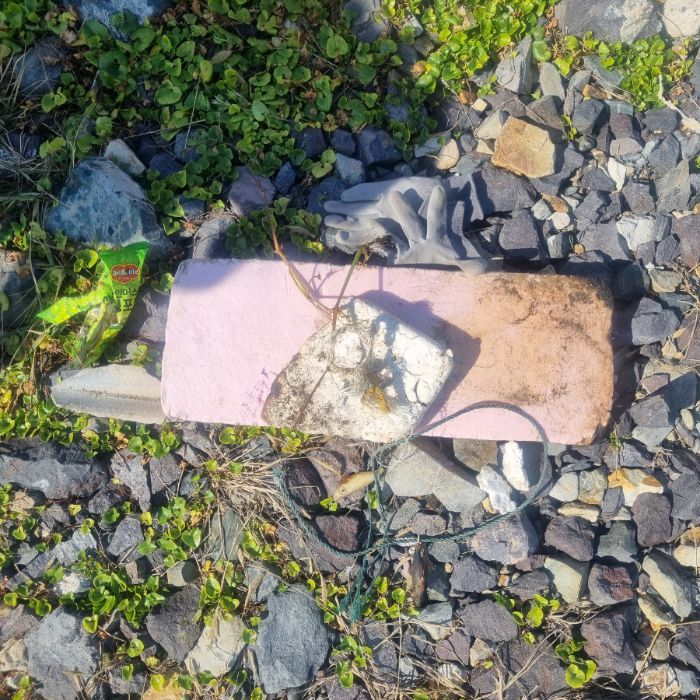 큰불항해변 정화 사진 2