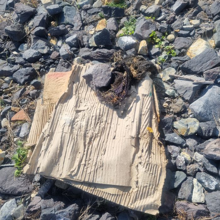 큰불항해변 정화 사진 5