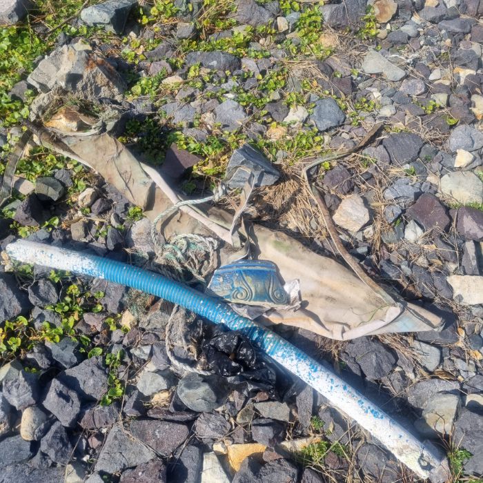 큰불항해변 정화 사진 7