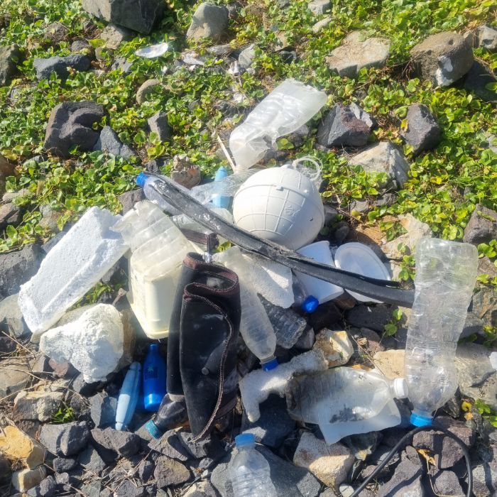큰불항해변 정화 사진 11