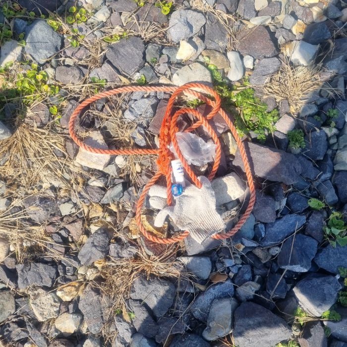 큰불항해변 정화 사진 12