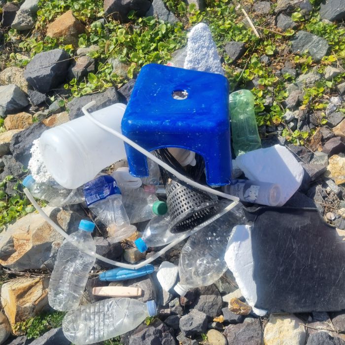 큰불항해변 정화 사진 13