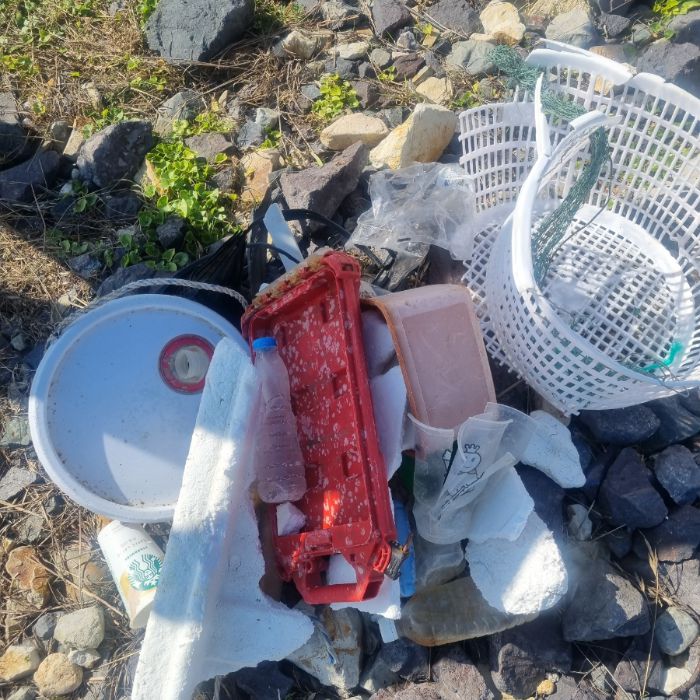 큰불항해변 정화 사진 14